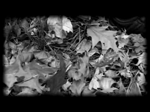 Benyo Hussain - Hier in Porz HQ