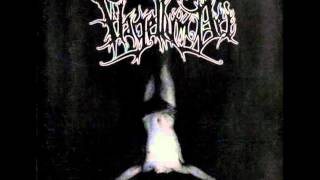 Flagellum Dei - Almighty Visions of Destruction