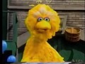 Sesame Street Surprise Doll Birthday Party New HD