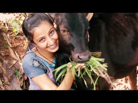 A "PLASTIC " STORY! -Handle with care ... A Kannada short film with subtitle