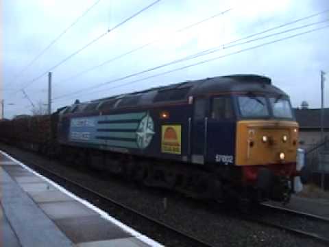 57002 On the log's