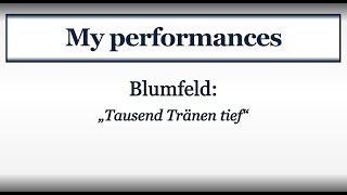 Blumfeld - Tausend Tränen tief - performed by S. A. Guenther