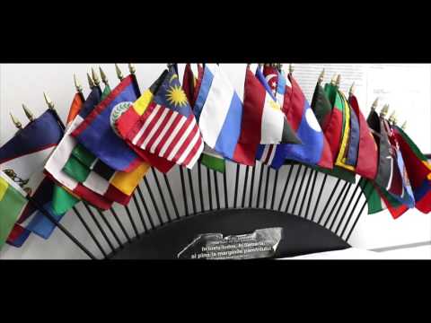 Prezentare ITPB pentru site