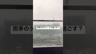 【海外子育て】ダナン雨季、子連れでどう過ごす？アートワークショップ体験。外に出られない日の過ごし方