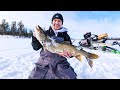 Video Thumbnail for Personal best lake trout on a micro jig! 