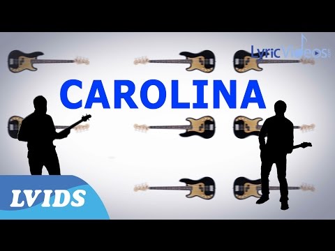Pedwell - Carolina (Lyric Video) 4K LVIDS Exclusive