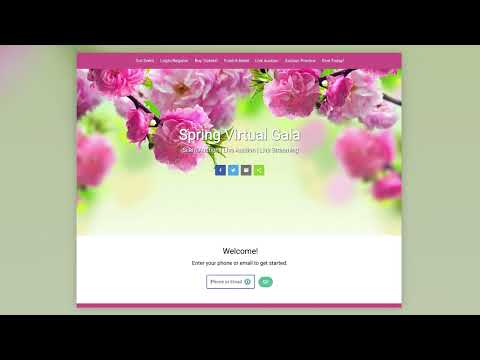 Video Image