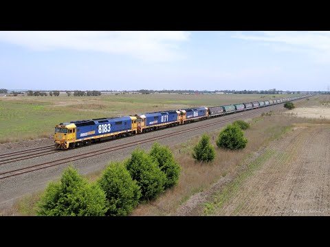 7734V Pacific National Grain Train At Gheringhap With WGBY & WGSY Hoppers  (12/12/2023) - PoathTV