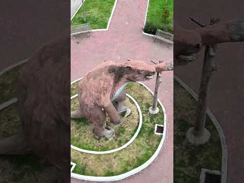 Você Conhece Maravilha, Alagoas? #nordeste #musica #cavalo