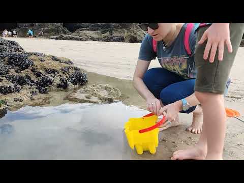 Releasing the Kraken. ish.