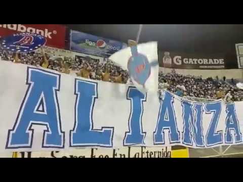 "Alianza F.C y su hinchada cantando en el clásico del odio COMO NO TE VOY A QUERER." Barra: La Ultra Blanca y Barra Brava 96 • Club: Alianza