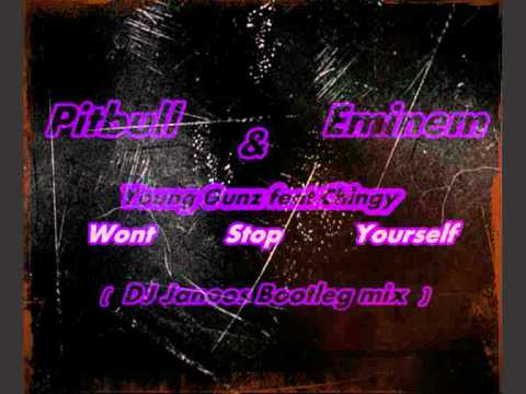 Pitbull,Eminem & Young Gunz feat Chingy Wont Stop Yourself(DJ Janoos 2011 mix)