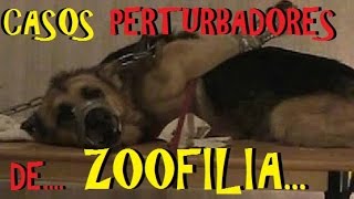Parafilias La Zoofilia y El Caso De Joensen Loquendo From
