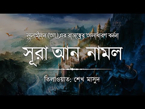 সুলাইমান (আ.) এর রাজত্বের অসাধারণ বর্ননা - সূরা আন নামল ┇ Surah An Naml by @sheikh_masud