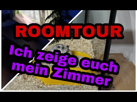 ICH zeige EUCH mein Zimmer |ROOMTOUR
