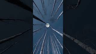 Download lagu nijana nanena kannada call me munu alone nice moon #shortsvideo mp3 Download lagu nijana nanena kannada call me munu alone nice moon #shortsvideo mp3