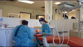How to Become a Dental Assistant: Skills, Salary, & Career Outlook