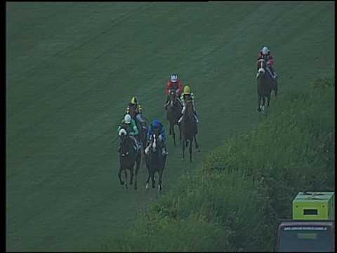 Galoppo 29/06/2016 - 6° corsa