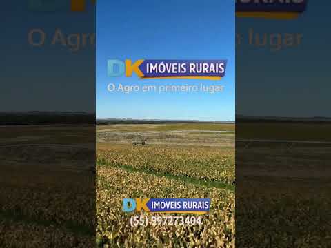 Arrendamento Rural | Oportunidades em Santana do Livramento, Santo Antônio das Missões e São Gabriel