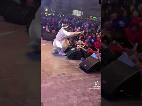 concert cu Iuliana Beregoi-tiktok