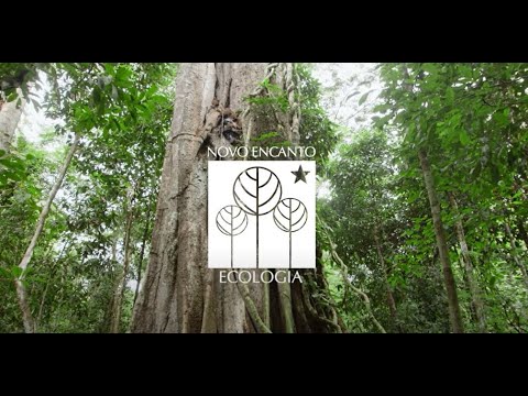 Round of 9 Vegetable