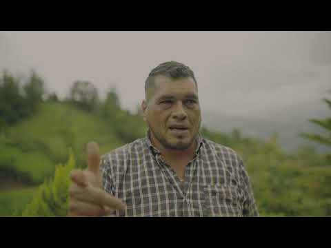 Plaza Samper Mendoza - Pura Plaza con Carolina Cuervo