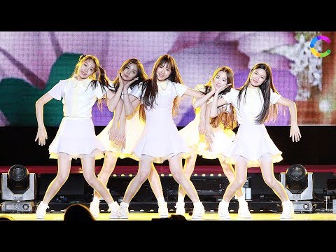 [4K영상][스타ting] 엘리스(ELRIS) ‘우리 처음’ 2017 월드프렌즈뮤직페스티벌