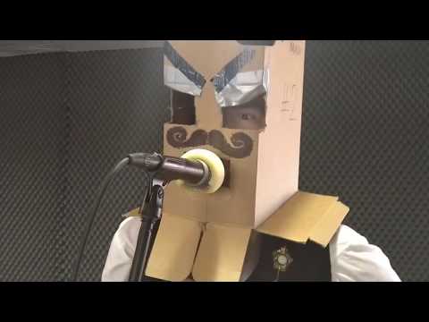 MeinKraft - Pane, Vy jste prase