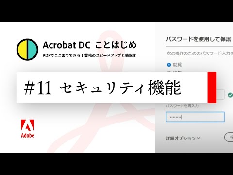 Acrobat Reader で PDF を保護するインターフェース