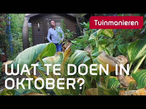 , title : 'Wat te doen in oktober in de tuin | Herfst | Tuinmanieren'