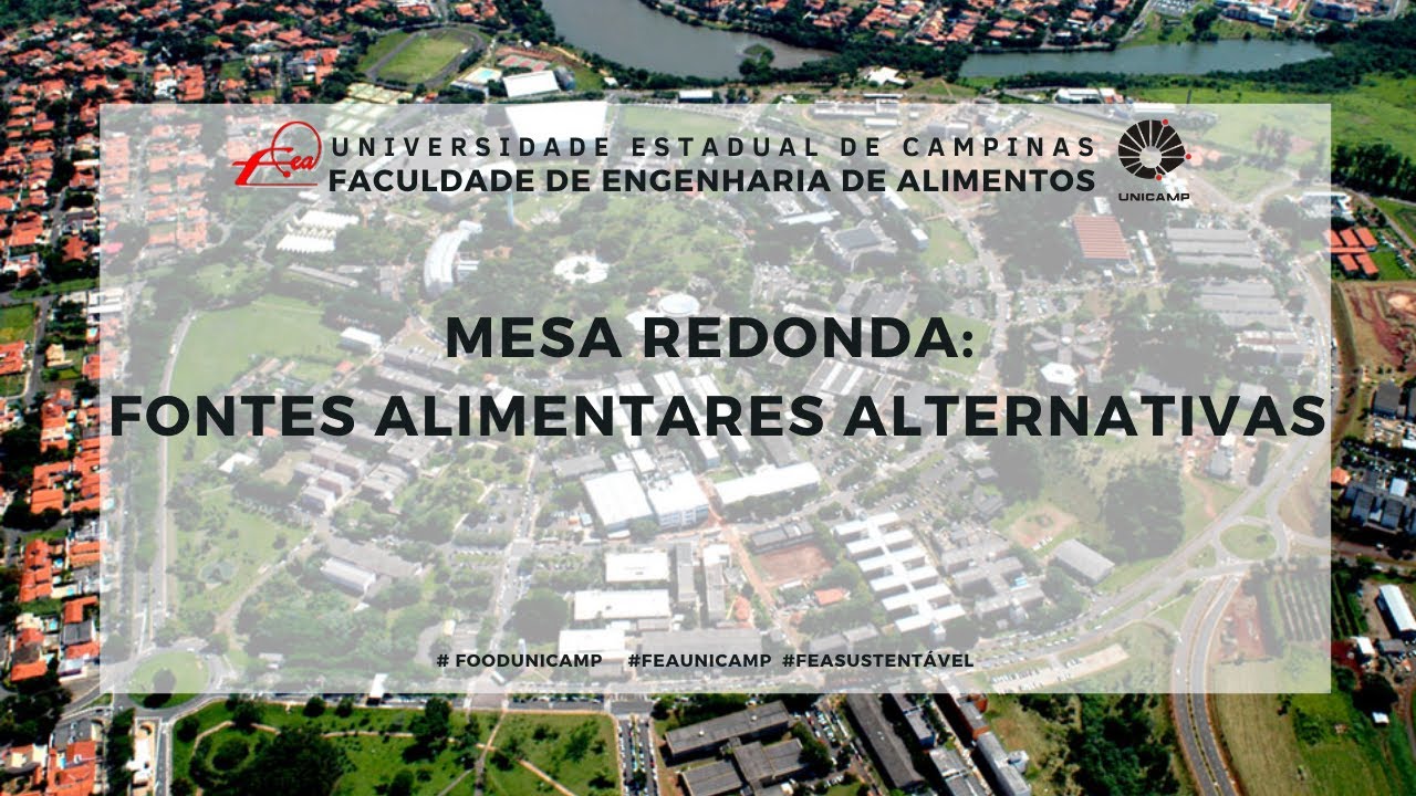 CONEXÃO FEA - Mesa Redonda online - Fontes Alimentares Alternativas
