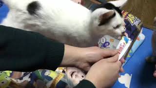 2018.12.25 らにとぽんずのメリークリスマス。