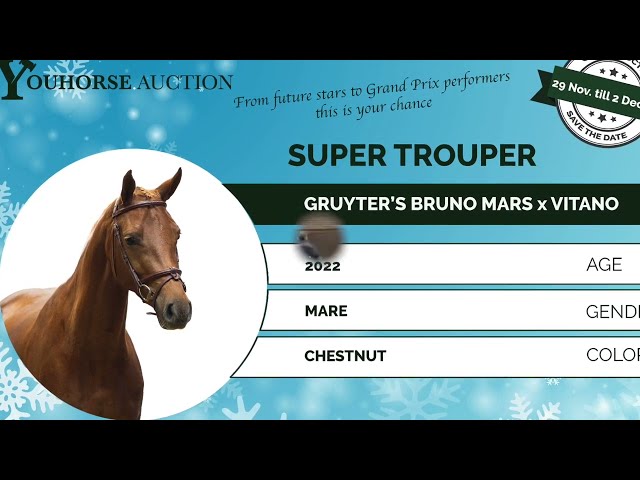 Super Trouper jumping line under the saddle