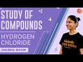 Study Of Compounds Hydrogen Chloride ICSE Class 10 Chemistry Chapter 8 Umang Vedantu 9 10