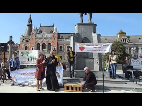 Porumbei - Marsul pentru Viata 2014 ORADEA