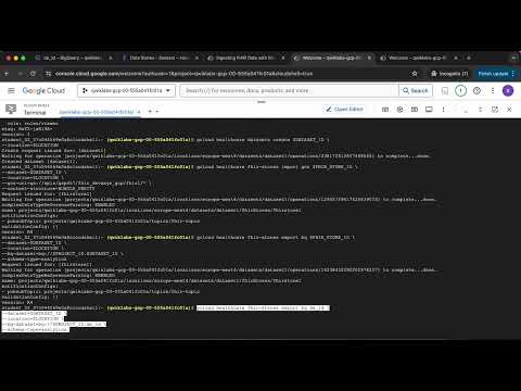Store Process and Manage Data on Google Cloud Command Line Challenge Lab ARC102