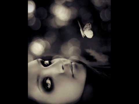 Poslednja Igra Leptira - Srce od meda