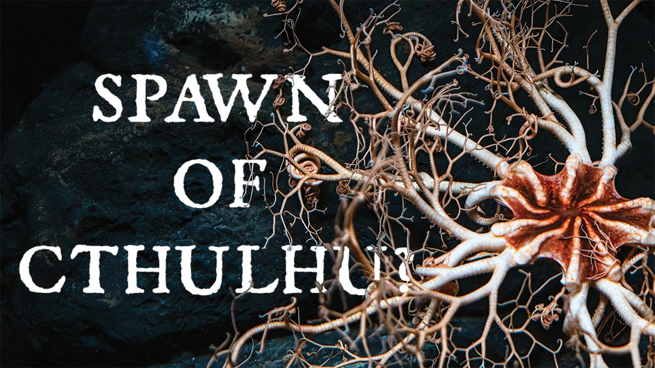 The Upsetting Reality of Brittle Stars