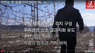 [사과재배] 2025년도 전정은 이렇게 하셔야 합니다