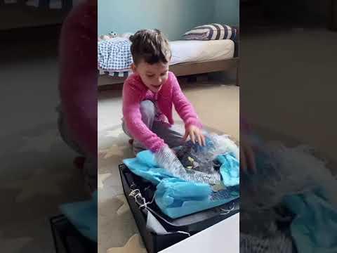 When Edie got her first dress #shorts