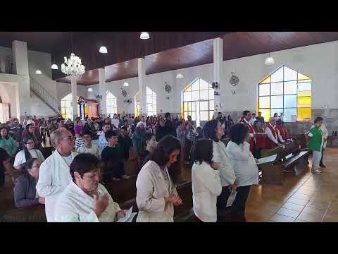 Santa Missa  • 15º Domingo do Tempo Comum  (10hrs)