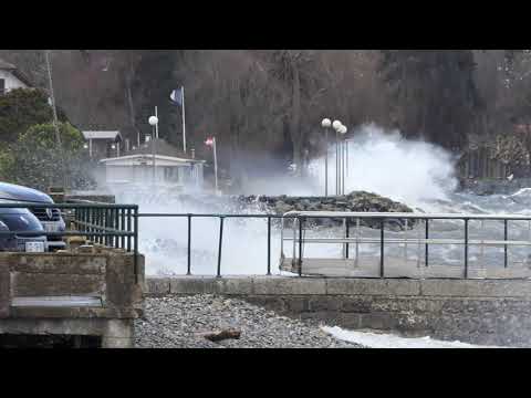 Bisensturm am Genfersee Teil 1 - 26.02.2023