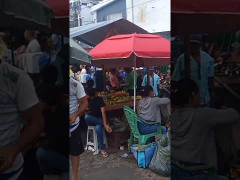 Feira de Santo Antônio em Timbaúba PE/
