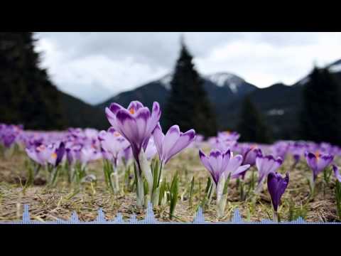 Sou Kanai - Never Give In (Aknael & Abebe Bekeela Remix)