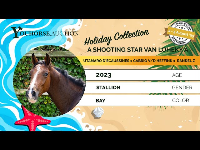 A Shooting Star van Loheky