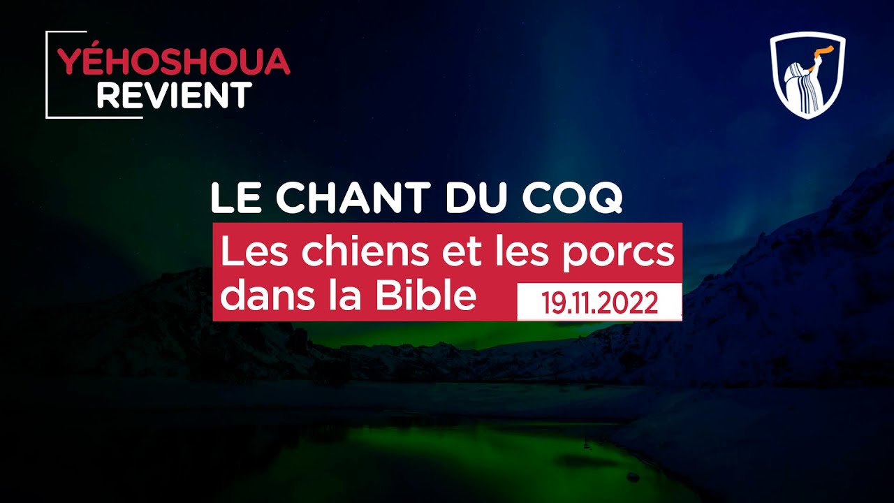Thumbnail of video: Les chiens et les porcs dans la Bible