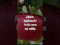 Johny appleseed #shorts #shortfeed