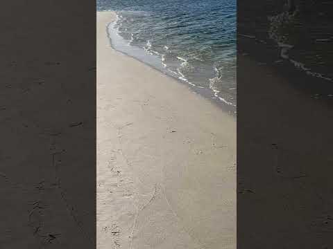 Orange Beach #shorts #short #youtubeshorts #orangebeach December 17, 2023