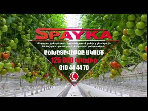 Spayka` ԳործԿա