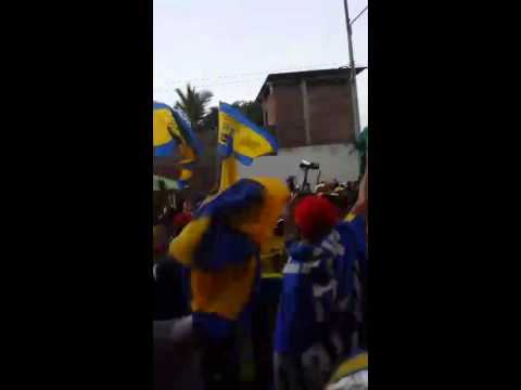 "El que no salta es un capiro maricon delfin sc" Barra: La Banda Cetácea y Perro Muerto &bull; Club: Delfín SC